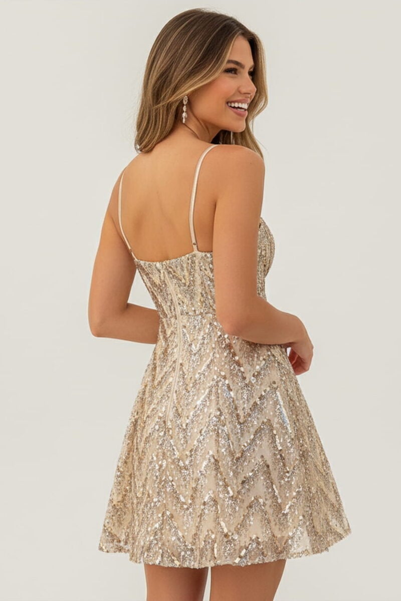 Champagne Embroidery Sequin Mini Party Dress