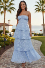 Sky Blue Floral Burnout Organza Tiered Maxi Dress